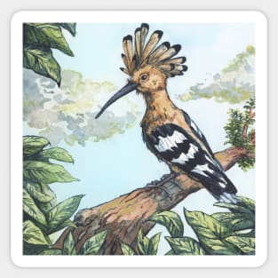 hoopoe on a branch - traditional watercolor painting Sticker